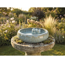 Keramische vogeldrinkbak met vogelpaar in de tuin