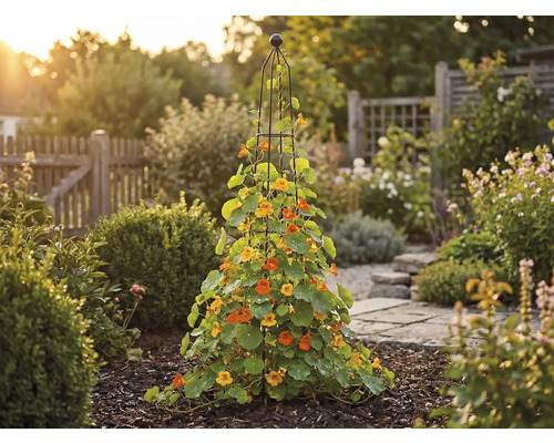 Tuinoverzicht met klimplanten aan een klimhulp