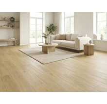 Lichte woonkamer met houten vloer, bank, tapijt en bijzettafels