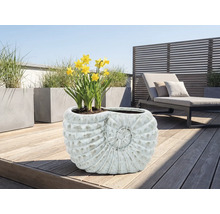 Plantenbak in de vorm van een slakkenhuis met narcissen op een terras