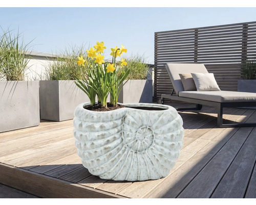 Plantenbak in de vorm van een slakkenhuis met narcissen op een terras
