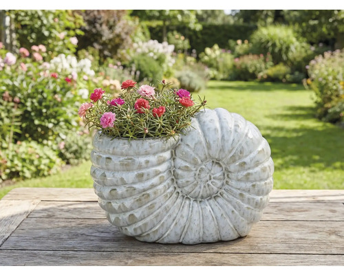 Plantenbak in de vorm van een slak met bloeiende bloemen op een houten tafel in de tuin