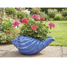 Geraniums in een blauwe schelpbloempot in de tuin.