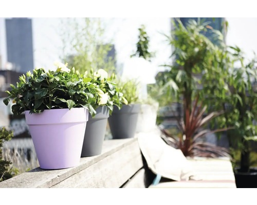 Rij bloempotten met beplanting op een balkon