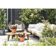 Terras met zithoek, bank, stoel, tafel en beplanting