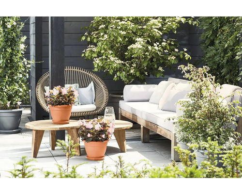 Terras met zithoek, bank, stoel, tafel en beplanting