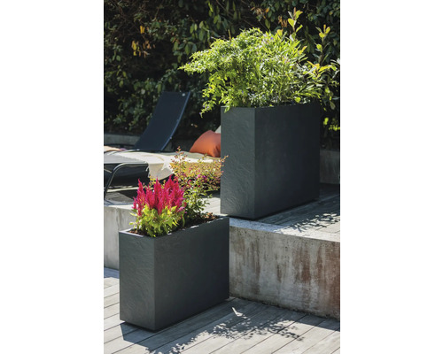 Twee vierkante plantenbakken van leisteen met planten in de tuin