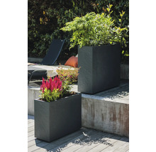 Twee vierkante plantenbakken van leisteen met planten in de tuin