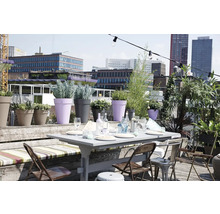 Een gedekte tafel op een dakterras met planten in bloempotten voor een stadsgezicht.