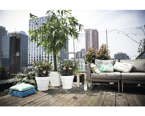 Dakterras met zithoek, planten in plantenbakken en uitzicht op de stad