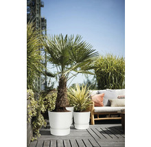 Terras met planten in witte bloempotten en zithoek