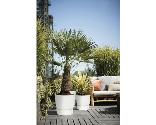 Terras met planten in witte bloempotten en zithoek