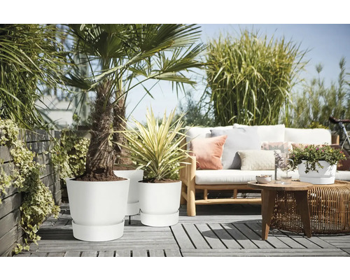 Terras met planten in witte bloempotten en een zithoek