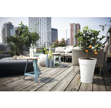 Dakterras met meubels, drankjes en mandarijnboompje in pot