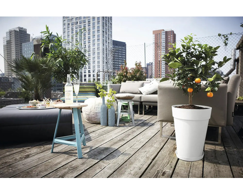 Dakterras met meubels, drankjes en mandarijnboompje in pot