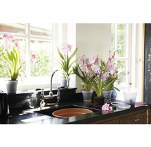 Spoelbak in de keuken met kraan en diverse potplanten met roze bloemen