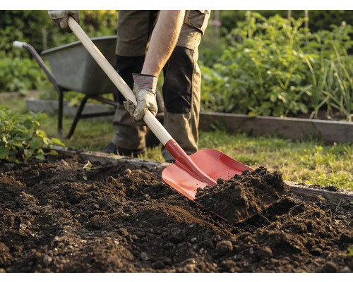 Een persoon spit met een spade de grond in de tuin om. Een kruiwagen staat op de achtergrond.
