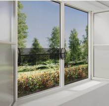 Raam met insectenhor en uitzicht op groen