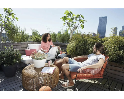 Zonnig dakterras met zithoek en beplanting voor ontspannen uren buiten