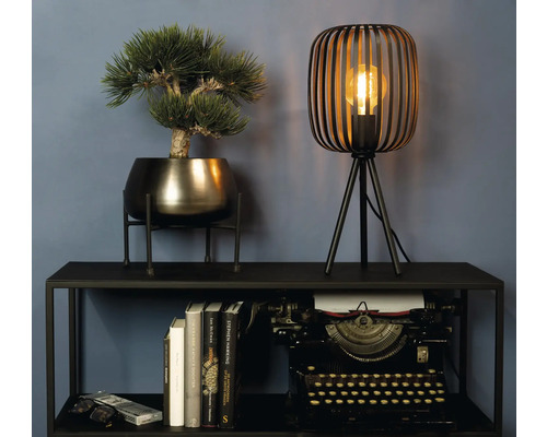 Decoratieve opstelling met tafellamp, potplant en typemachine op een plank.