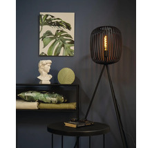 Decoratief interieur met vloerlamp, plank en woonaccessoires