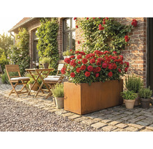 Tuinscene met een rechthoekige metalen plantenbak beplant met rode rozen, en een zitgroep met een tafel en stoelen op een terras voor een huis.