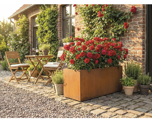 Tuinscene met een rechthoekige metalen plantenbak beplant met rode rozen, en een zitgroep met een tafel en stoelen op een terras voor een huis.