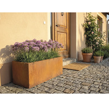 Buitenfoto van een metalen plantenbak voor een voordeur met straatstenen.