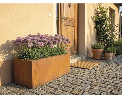 Buitenfoto van een metalen plantenbak voor een voordeur met straatstenen.