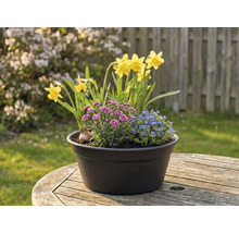 Bloemstuk met narcissen, anjers en vergeet-mij-nietjes in een pot op een houten tafel