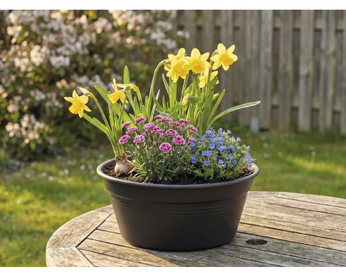 Bloemstuk met narcissen, anjers en vergeet-mij-nietjes in een pot op een houten tafel