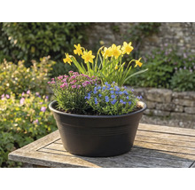 Bloemstuk met narcissen, blauwe en roze bloemen in een pot op een tafel buitenshuis