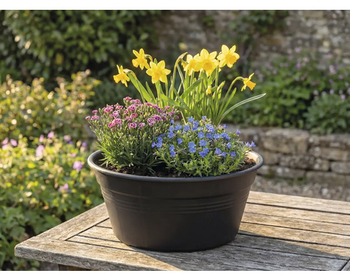 Bloemstuk met narcissen, blauwe en roze bloemen in een pot op een tafel buitenshuis