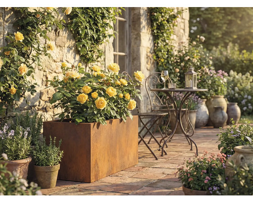 Terrasscène met gele rozen in een metalen plantenbak, metalen tafel en stoel