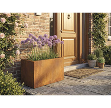 Scene met een rechthoekige metalen plantenbak en paarse sierui voor een voordeur.