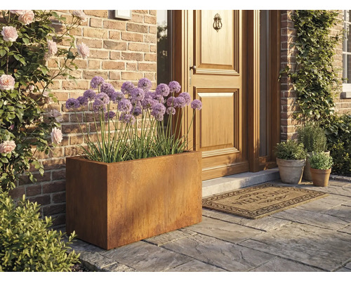 Scene met een rechthoekige metalen plantenbak en paarse sierui voor een voordeur.