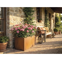 Rustiek terras met rozen in plantenbak en een houten bank met kussens.