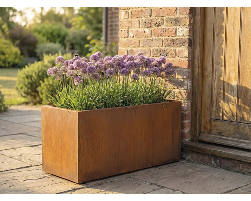 Rechthoekige metalen plantenbak met Allium planten in de tuin.