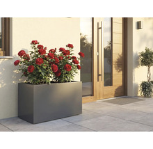 Rechthoekige plantenbak met rode rozen voor een huis