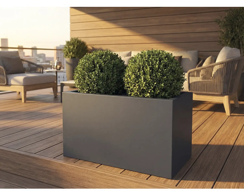 Rechthoekige plantenbak met twee buxusbollen op een terras