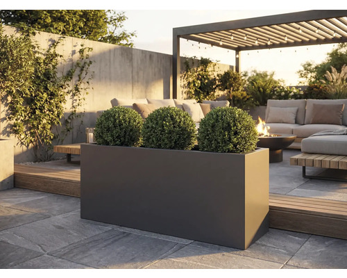 Buitenshot van een rechthoekige, donkere plantenbak met drie bolvormige planten op een stenen terras