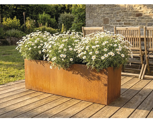 Metalen plantenbak met madeliefjes op een houten terras