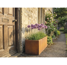 Rechthoekige metalen plantenbak met sierui naast een voordeur
