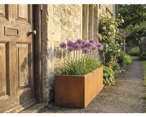 Rechthoekige metalen plantenbak met sierui naast een voordeur