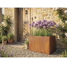 Scene met een stalen plantenbak met paarse bloemen, voor een houten voordeur.