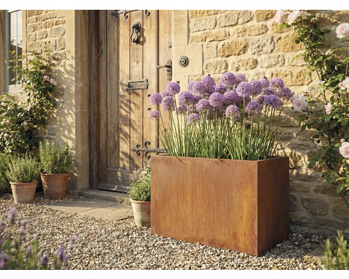 Scene met een stalen plantenbak met paarse bloemen, voor een houten voordeur.