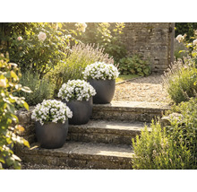 Drie bloempotten met witte klokjesbloemen op een stenen trap in een tuin.