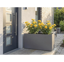 Grijze plantenbak met gele rozen voor de voordeur