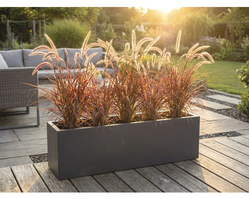 Decoratieve plantenbak met siergrassen op een terras