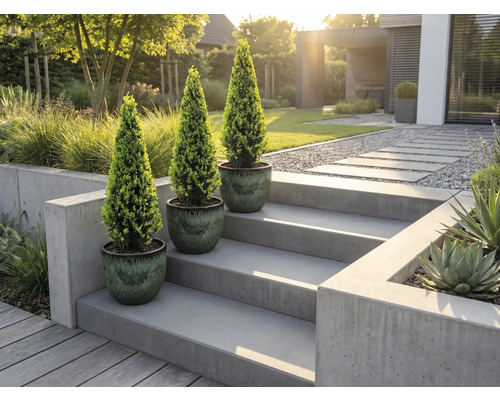 Drie potplanten op een betonnen trap in een moderne tuin.